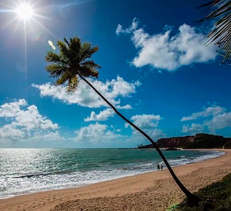 Flat Frente Mar - Playa de Tabatinga